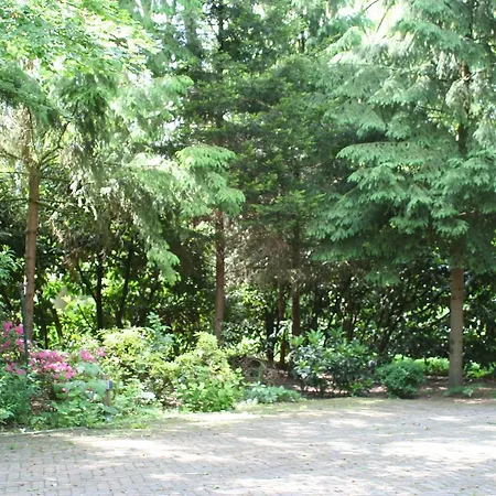 Bed & Breakfast De Bostuin Veluwe *