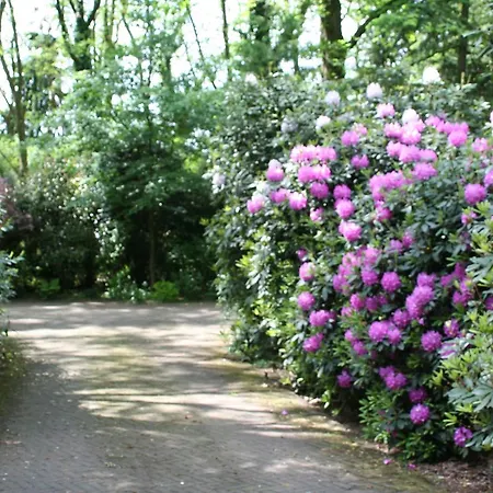 De Bostuin Veluwe Bed & Breakfast
