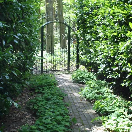 Bed & Breakfast De Bostuin Veluwe *
