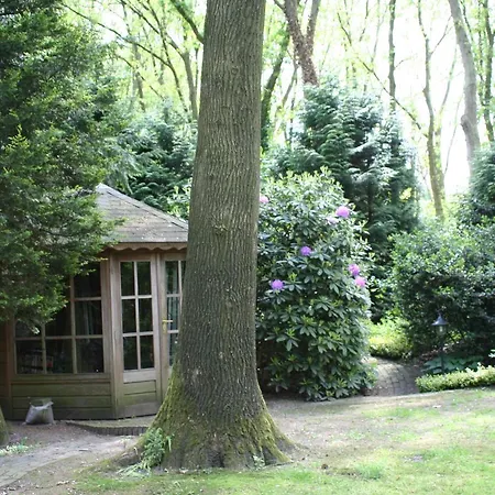 De Bostuin Veluwe Bed & Breakfast Lunteren
