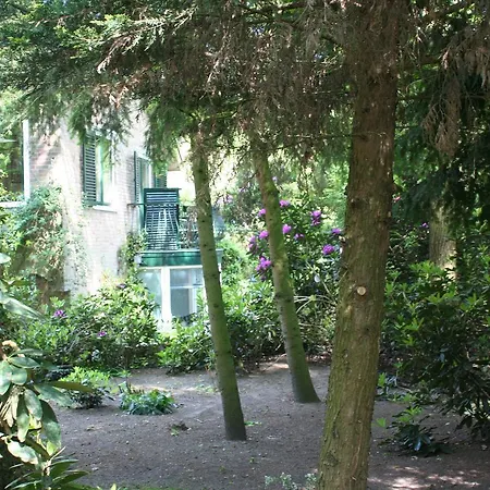 Bed & Breakfast De Bostuin Veluwe