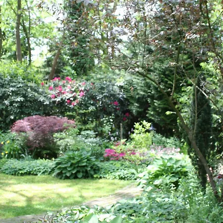 De Bostuin Veluwe Bed & Breakfast Lunteren